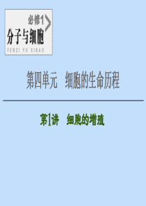 2021版高考生物一轮复习 第4单元 细胞的生命历程 第1讲 细胞的增殖课件 苏教版必修1