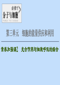 2021版高考生物一轮复习 第3单元 细胞的能量供应和利用 素养加强课2 光合作用与细胞呼吸的综合课