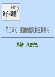 2021版高考生物一轮复习 第3单元 细胞的能量供应和利用 第4讲 细胞呼吸课件 苏教版必修1