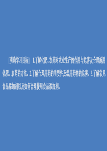 2020新教材高中化学 第八章 化学与可持续发展 第二节 化学品的合理使用课件 新人教版第二册