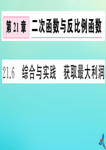 2020秋九年级数学上册 第21章 二次函数与反比例函数 21.6 综合与实践 获得最大利润作业课件