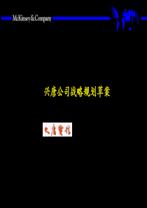 大唐电信战略的制定方法咨询报告2