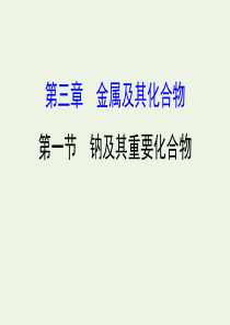 2020年高考化学一轮总复习 钠及其重要化合物1课件 新人教版