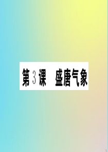 2020年春七年级历史下册 第一单元  隋唐时期：繁荣与开放的时代 第3课 盛唐气象作业课件 新人教