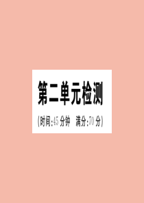 2020年春七年级历史下册 第二单元 辽宋夏金元时期：民族关系发展和社会变化检测作业课件 新人教版