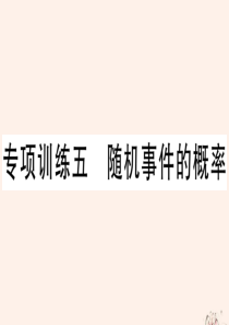 2020年春九年级数学下册 专项训练五 随机事件的概率课件（新版）华东师大版