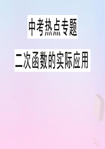 2020年春九年级数学下册 热点专题 二次函数的实际应用课件（新版）冀教版