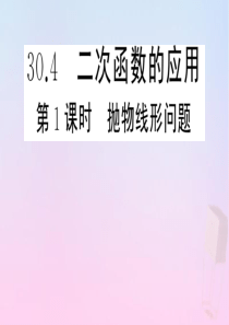 2020年春九年级数学下册 第30章 二次函数 30.4 二次函数的应用（第1课时 抛物线形问题）课