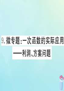 2020年春八年级数学下册 微专题 一次函数的实际应用-利润、方案问题课件（新版）冀教版