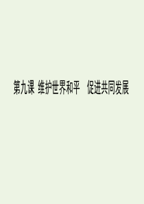 2020届高考政治二轮复习 考点精练2.09 维护世界和平 促进共同发展课件