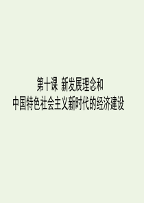 2020届高考政治二轮复习 考点精练1.10 中国特色社会主义新时代的经济建设课件