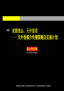 天外香媒介传播策略及实施计划(ppt 41) 