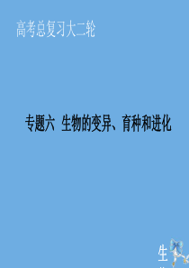 2020届高考生物艺考生大二轮总复习 上篇 专题六 生物的变异、育种和进化 第8讲 变异、育种和进化