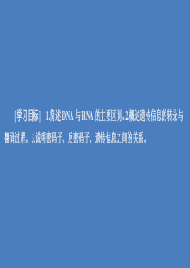 2020高中生物 第4章 基因的表达 第1节 基因指导蛋白质的合成课件 新人教版必修2