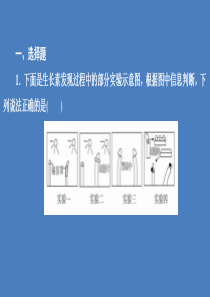 2020高中生物 第3章 植物的激素调节水平测试课件 新人教版必修3