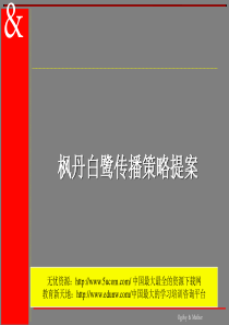 奥美枫丹白鹭传播策略提案