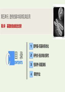 2020高考生物大一轮复习 第五单元 第2讲 基因的自由组合定律课件 新人教版