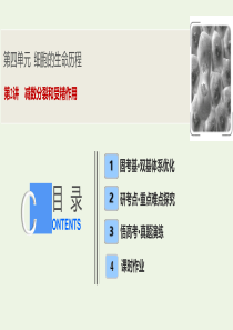 2020高考生物大一轮复习 第四单元 第2讲 减数分裂和受精作用课件 新人教版