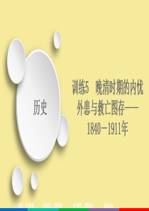 2020高考历史大二轮复习 刷题首选卷 第一部分 通史篇 训练5 晚清时期的内忧外患与救亡图存——1