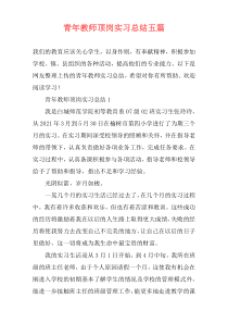 青年教师顶岗实习总结五篇