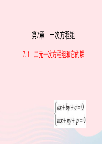 2020春七年级数学下册 第7章二元一次方程组 7.1二元一次方程组和它的解教学课件 华东师大版