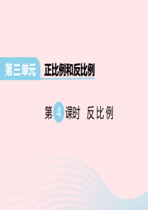 2020春六年级数学下册 第三单元 正比例和反比例 第4课时 反比例课件 西师大版