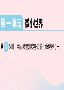 2020春六年级科学下册 第一单元 微小世界 5用显微镜观察身边的生命世界（一）习题课件 教科版