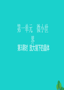 2020春六年级科学下册 第一单元 微小世界 3放大镜下的晶体教学课件 教科版