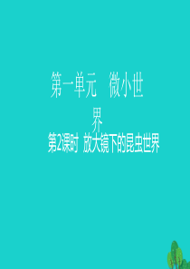 2020春六年级科学下册 第一单元 微小世界 2放大镜下的昆虫世界教学课件 教科版