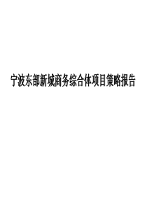 宁波东部新城商务综合体项目策略报告_71PPT