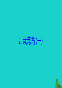 2020版四年级数学下册 六 数据的表示和分析 2 栽蒜苗（一）习题课件 北师大版