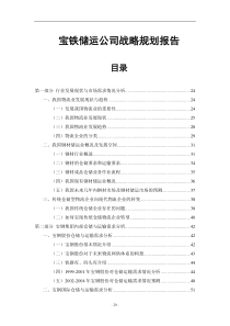 宝铁储运公司战略规划报告（word完整版）