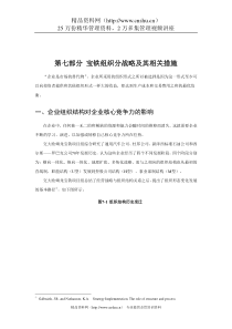 宝铁组织分战略及其相关措施（DOC 12页）