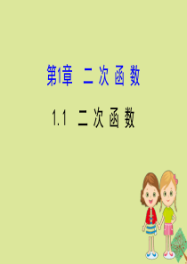 2020版九年级数学下册 第1章 二次函数 1.1 二次函数课件 （新版）湘教版