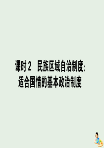 2020版高中政治 第四单元 当代国际社会 8.2 民族区域自治制度：适合国情的基本政治制度课件 新