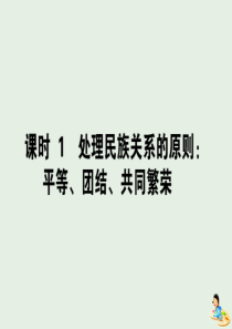 2020版高中政治 第四单元 当代国际社会 8.1 处理民族关系的原则：平等、团结、共同繁荣课件 新