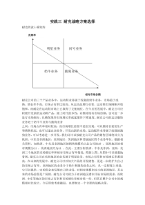 实践三 耐克战略方案