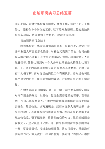 出纳顶岗实习总结五篇