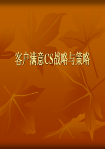 客户满意CS战略与策略（PPT 102页）