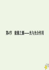 2020版高中生物 第五章 细胞的能量供应和利用 4 能量之源——光与光合作用课件 新人教版必修1