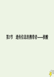 2020版高中生物 第二章 组成细胞的分子 3 遗传信息的携带者——核酸课件 新人教版必修1