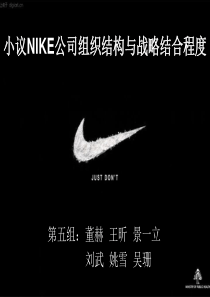 小议NIKE组织结构与战略结合程度