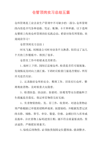 仓管顶岗实习总结五篇