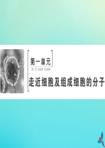 2020版高考生物一轮复习 第3讲 蛋白质和核酸课件 新人教版