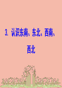 2020版二年级数学下册 三 甜甜的梦---毫米、分米、千米的认识 3.3 认识东南、东北、西南、西