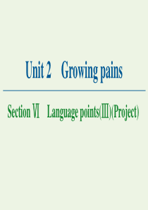 2020-2021学年高中英语 Unit2 Growing pains Section Ⅵ Lang