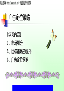 广告定位策略(ppt74)