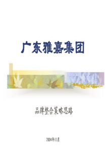 广州雅嘉品牌整合策略思路