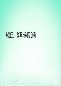 2019中考历史总复习 第二部分 专题线索串联 专题三 改革与制度创新课件