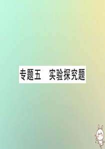 2019中考化学一轮复习 第二部分 重点题型突破 专题五 实验探究题（精练）课件